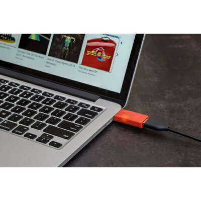 iDefender＋AA アイファイ・オーディオ USB電源ノイズフィルター iFI-Audio
